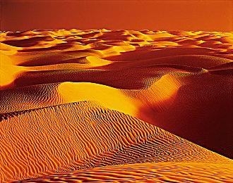 《Hyenas》Alpha测试本周再开 加入曼哈顿地图